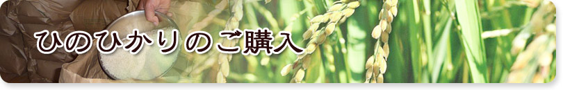 ひのひかりのご購入